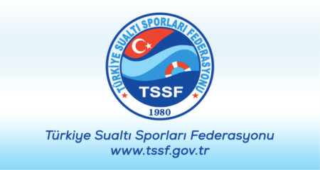 PALETLİ YÜZME KIŞ ŞAMPİYONASI İSTANBUL'DA YAPILDI